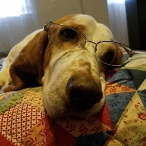 Meet your Posher, Marie